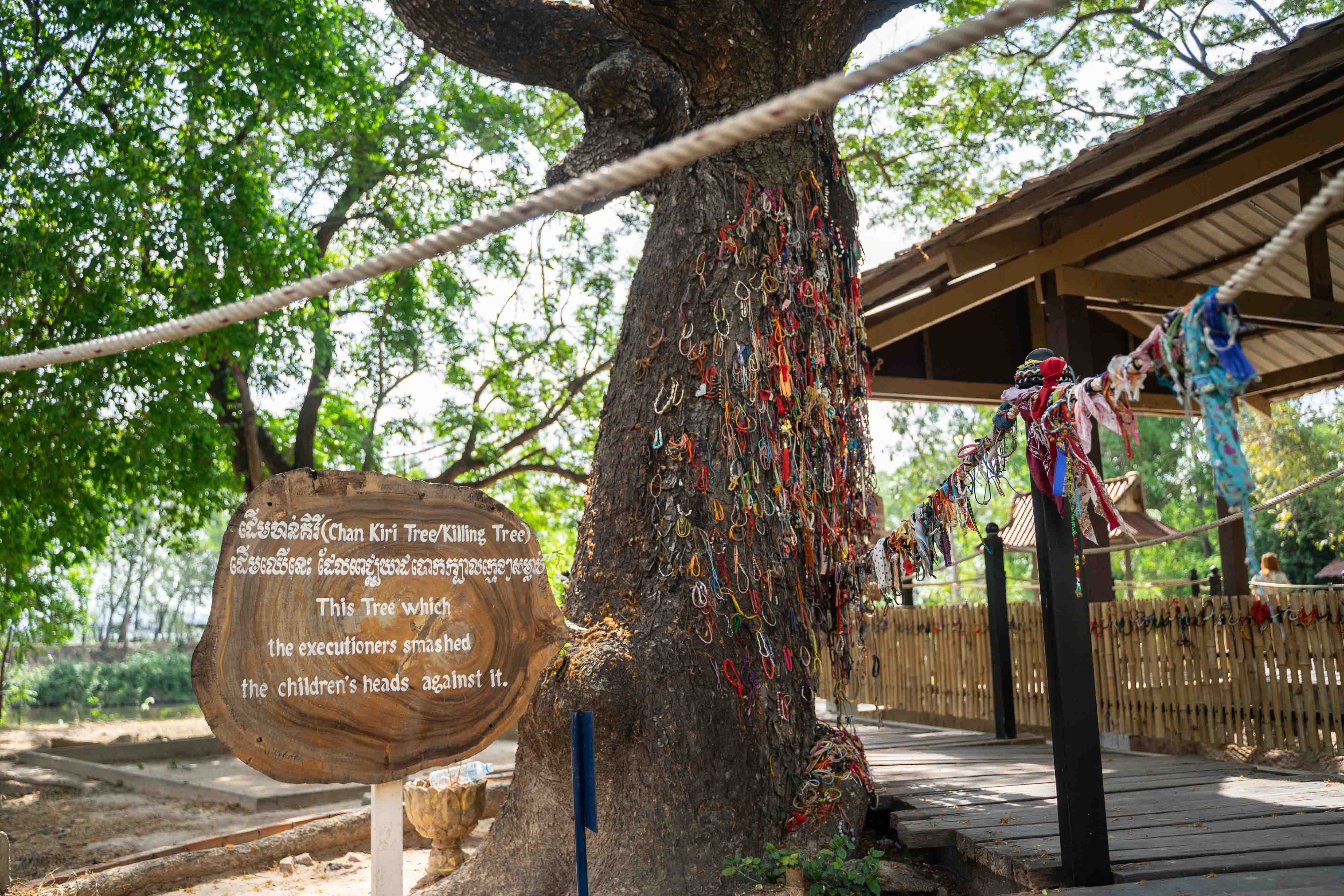 Cheong Ek memorial tree, Phnom Penh